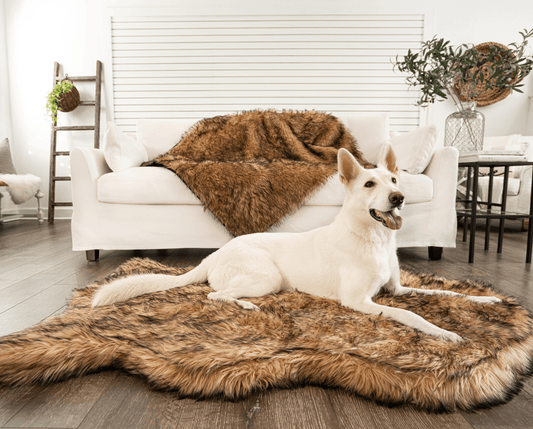 Orthopedic Dog Bed with Waterproof Blanket - Sable Tan