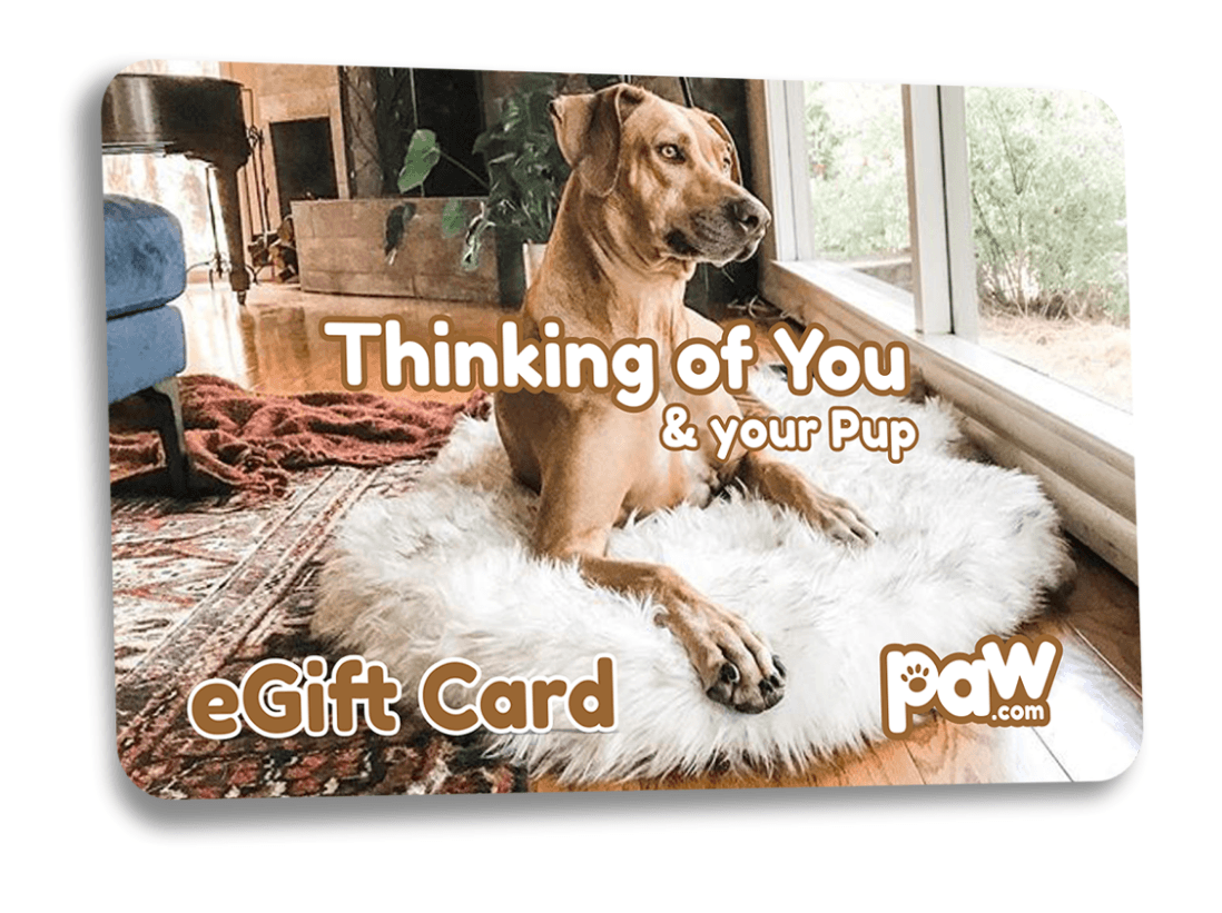 Pet gift voucher
